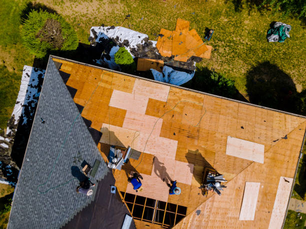 Best Storm Damage Roof Repair  in Clermont, IN